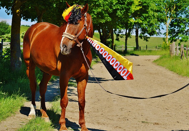 让全世界球 让全世界球